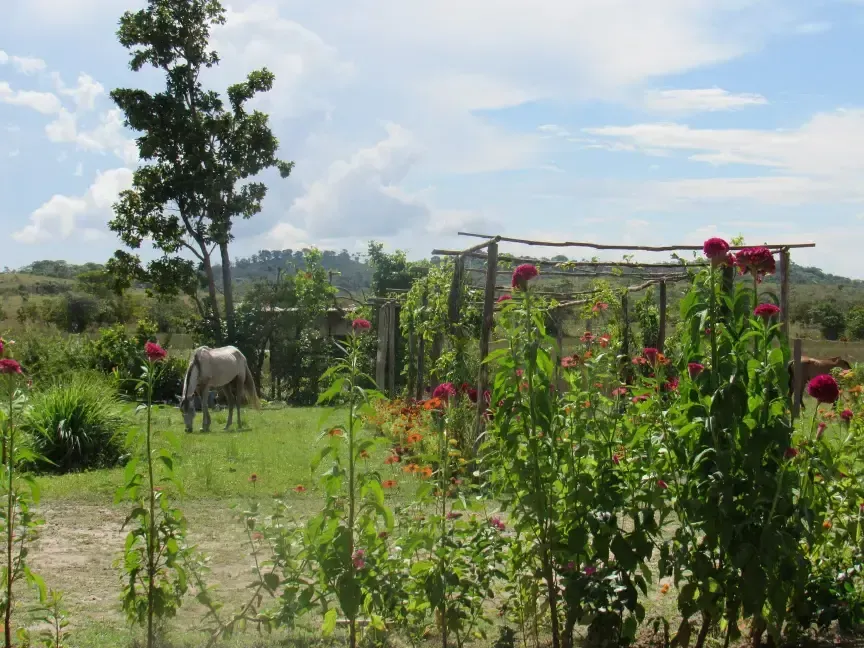 imgi_5_Horse-Wichabai-Ranch